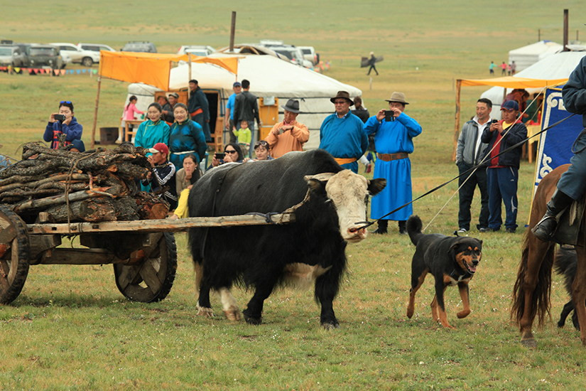 caravan yack