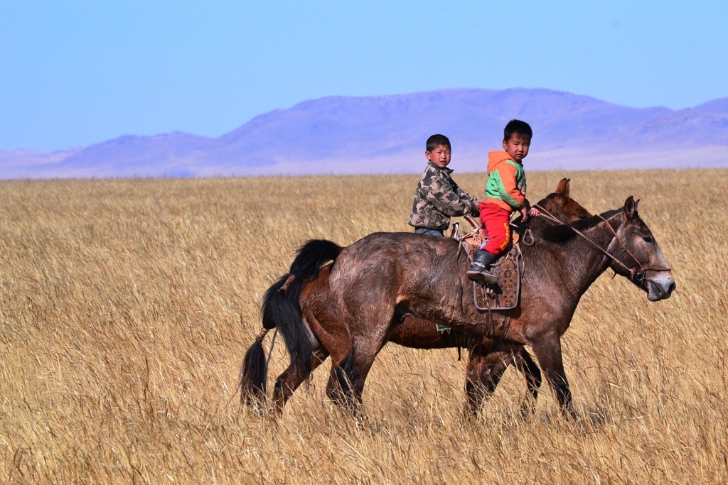 cavaleros