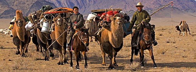mongol nomad